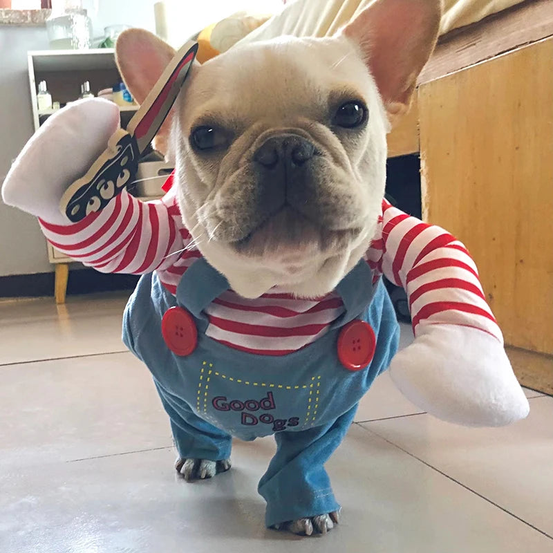 Funny Halloween Dog Costume – Adjustable Cosplay for Small & Medium Dogs - iHeimly