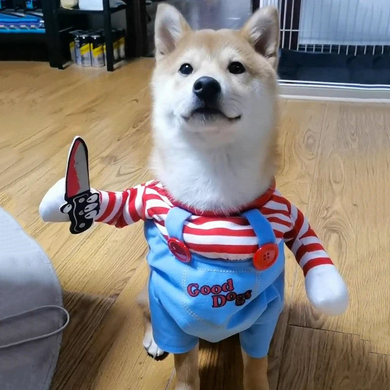 Funny Halloween Dog Costume – Adjustable Cosplay for Small & Medium Dogs - iHeimly