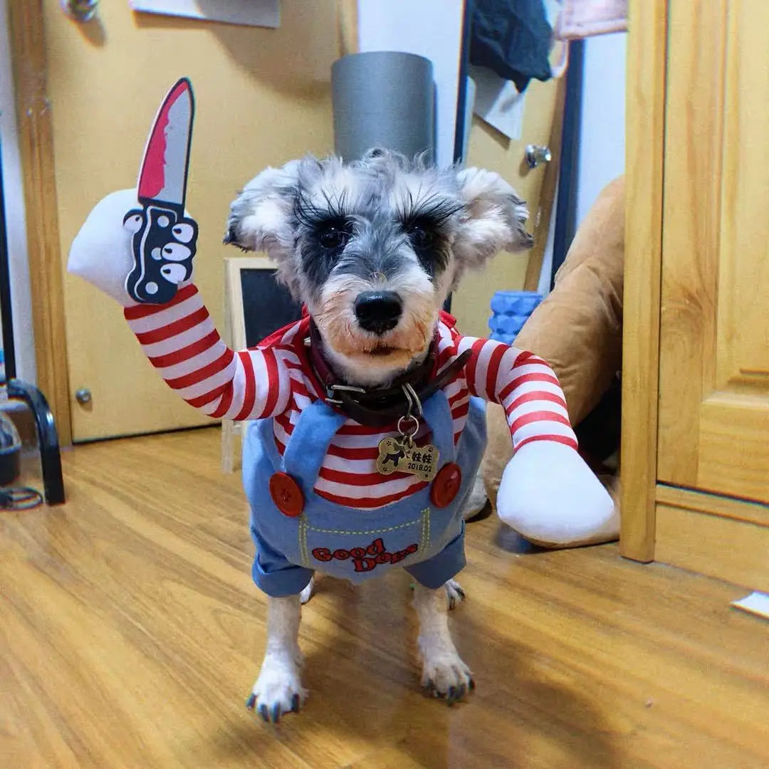 Funny Halloween Dog Costume – Adjustable Cosplay for Small & Medium Dogs - iHeimly