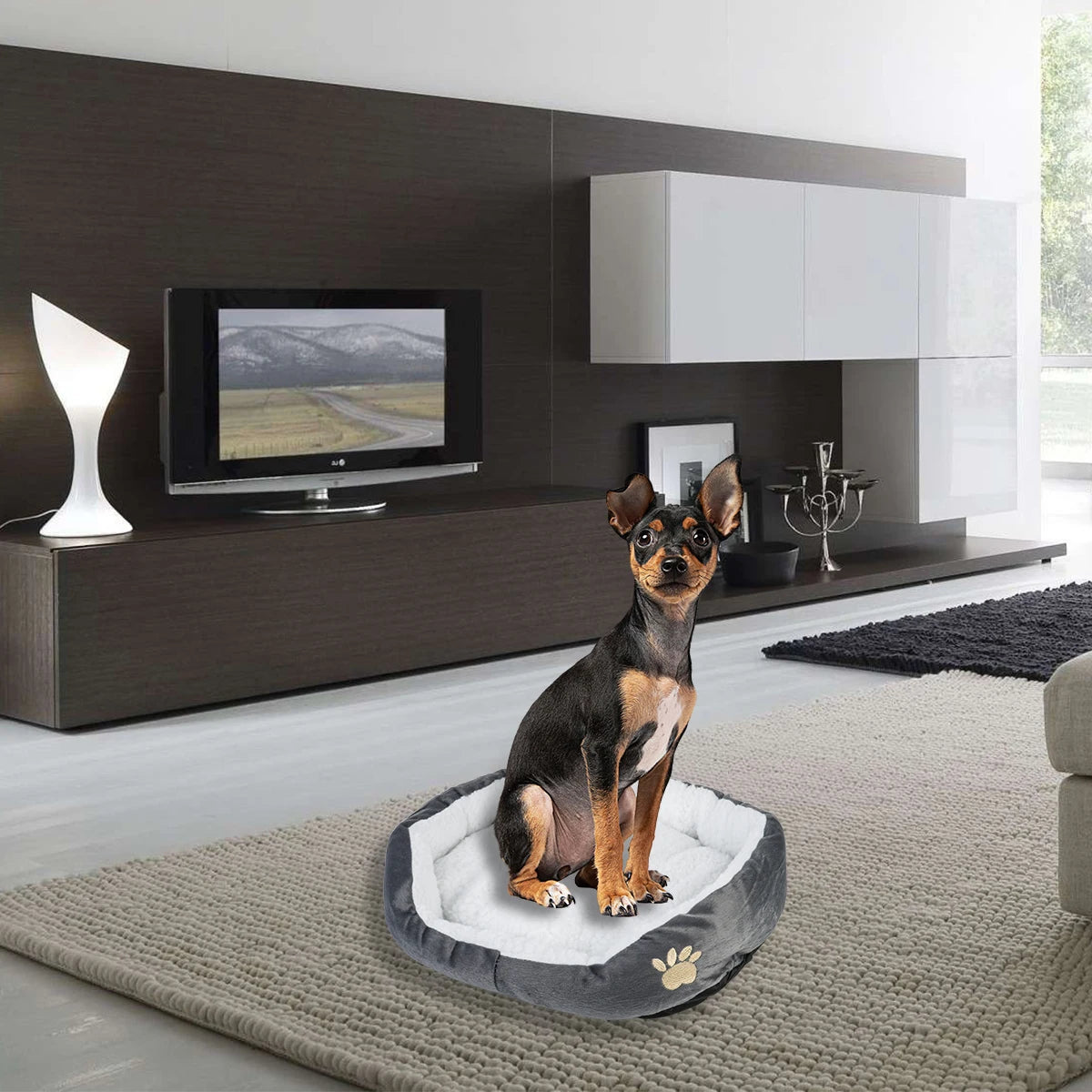 Pet Bed – Soft PP Cotton Dog Cave Sofa for Puppies and Cats - iHeimly