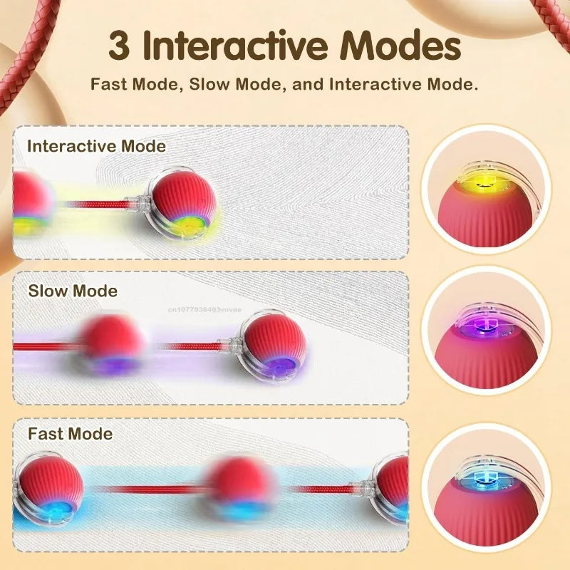 Interactive Cat Ball – Automatic Rolling Electric Toy for Kittens - iHeimly