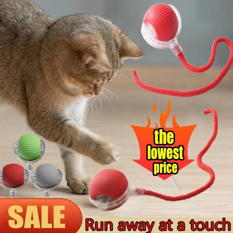 Interactive Cat Ball – Automatic Rolling Electric Toy for Kittens - iHeimly