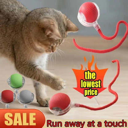 Interactive Cat Ball – Automatic Rolling Electric Toy for Kittens - iHeimly
