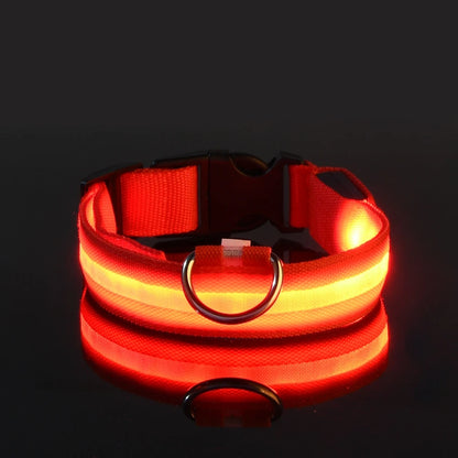 Nylon LED Dog Collar – Glow in the Dark Night Safety