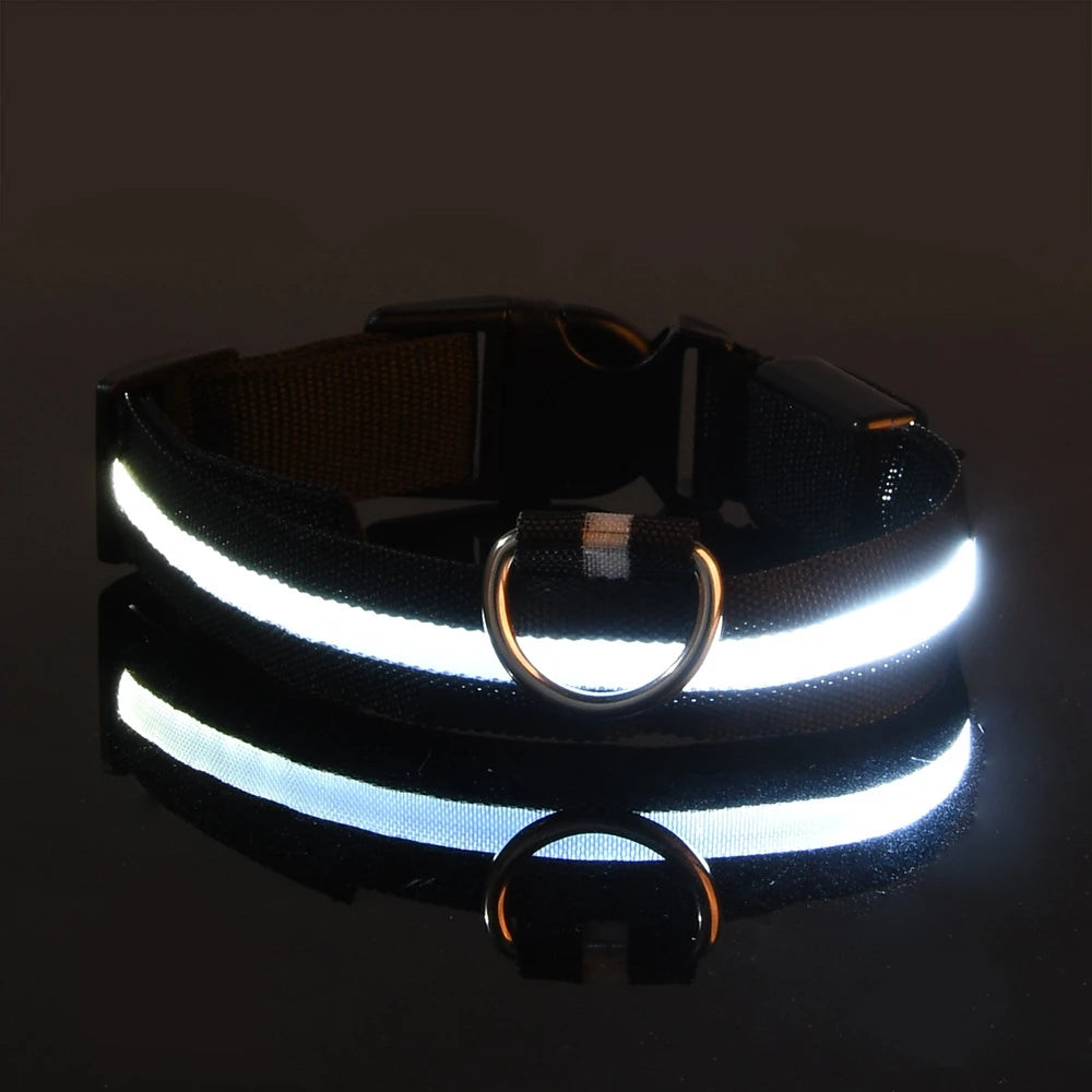 Nylon LED Dog Collar – Glow in the Dark Night Safety