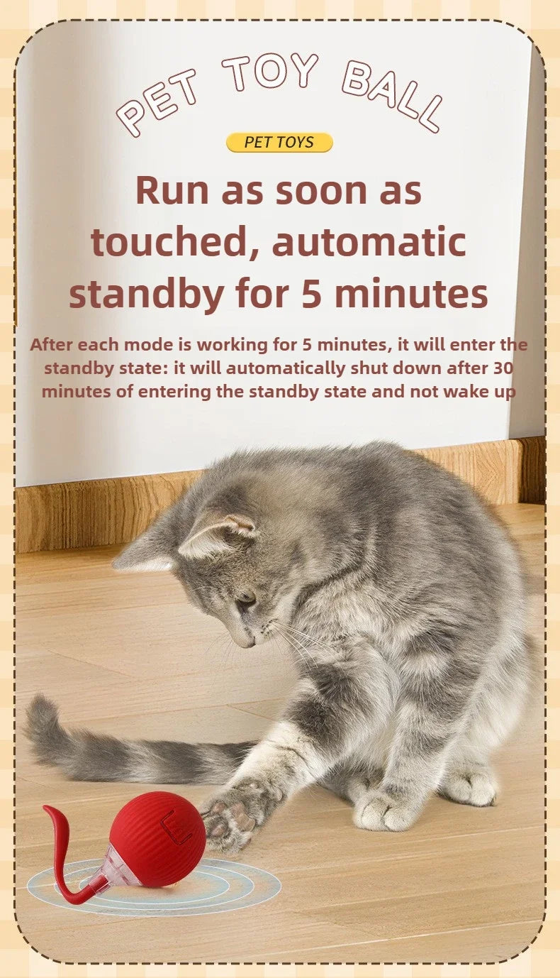 Interactive Cat Ball – Automatic Rolling Electric Toy for Kittens - iHeimly