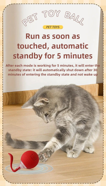 Interactive Cat Ball – Automatic Rolling Electric Toy for Kittens - iHeimly