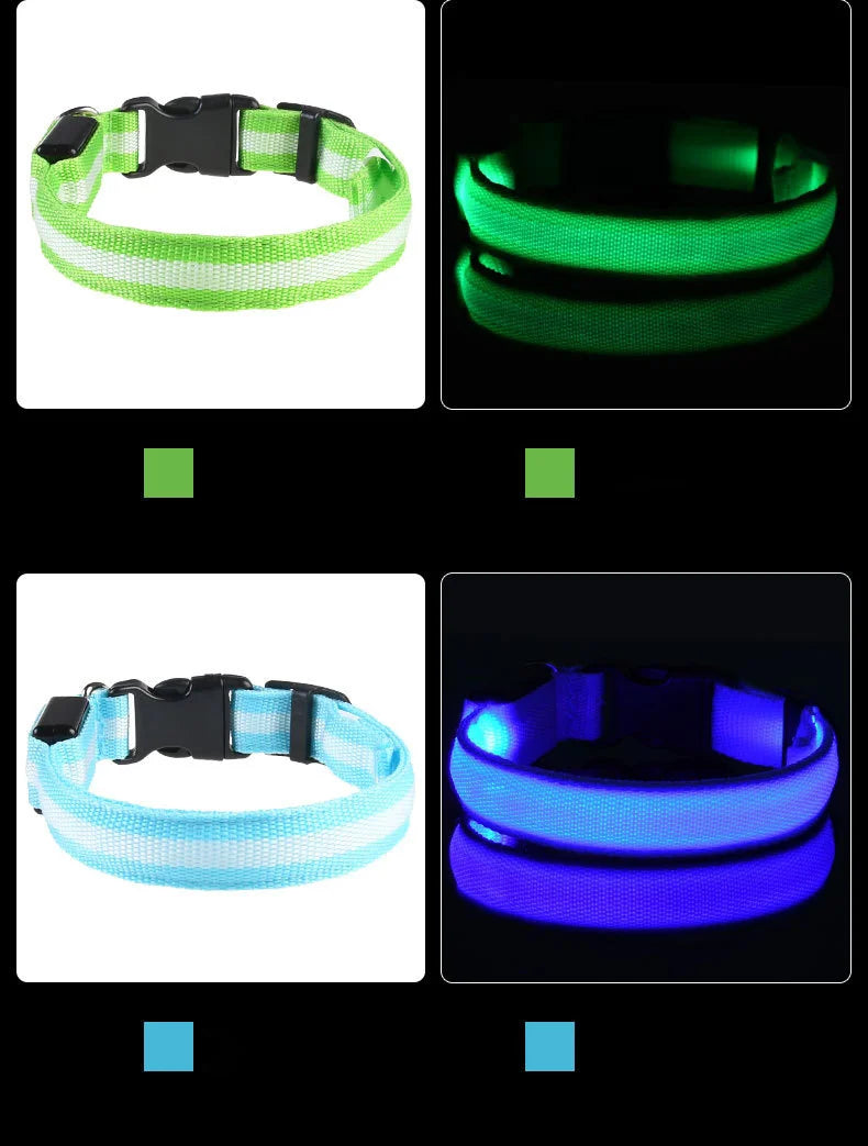 Nylon LED Dog Collar – Glow in the Dark Night Safety