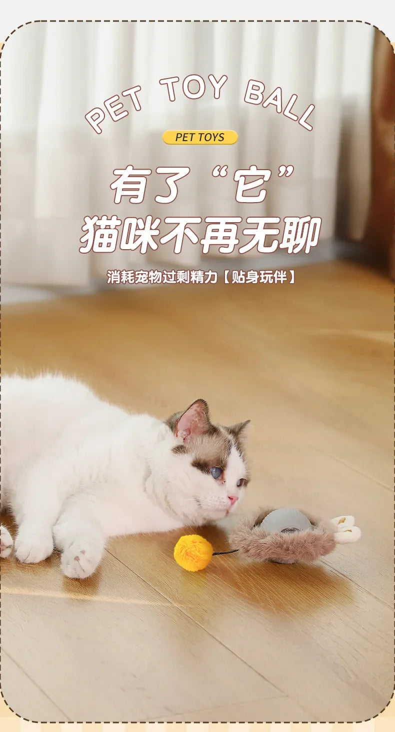 Interactive Cat Ball – Automatic Rolling Electric Toy for Kittens - iHeimly