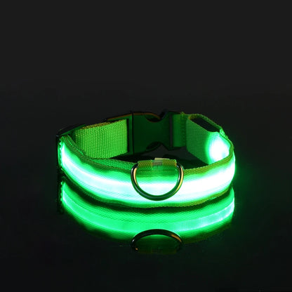 Nylon LED Dog Collar – Glow in the Dark Night Safety