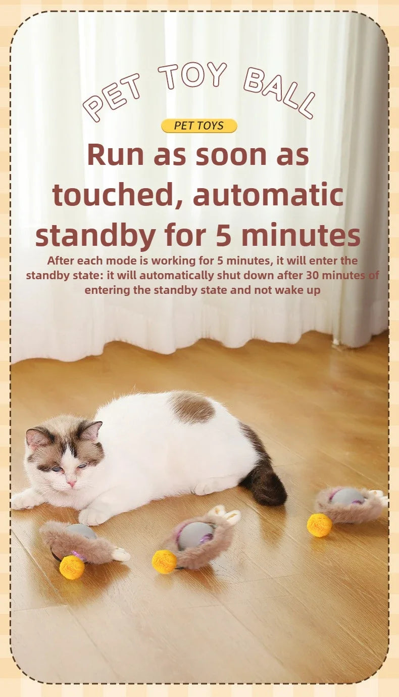 Interactive Cat Ball – Automatic Rolling Electric Toy for Kittens - iHeimly