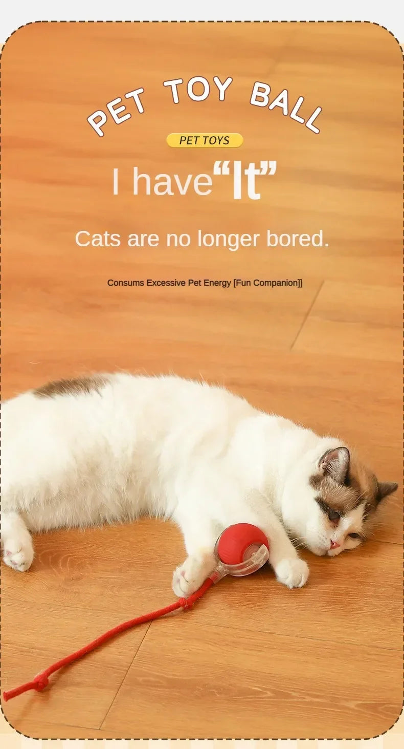 Interactive Cat Ball – Automatic Rolling Electric Toy for Kittens - iHeimly