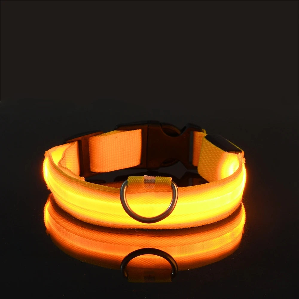 Nylon LED Dog Collar – Glow in the Dark Night Safety