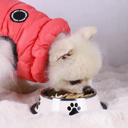 Stainless Steel Pet Bowl with Rubber Bottom