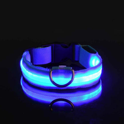 Nylon LED Dog Collar – Glow in the Dark Night Safety