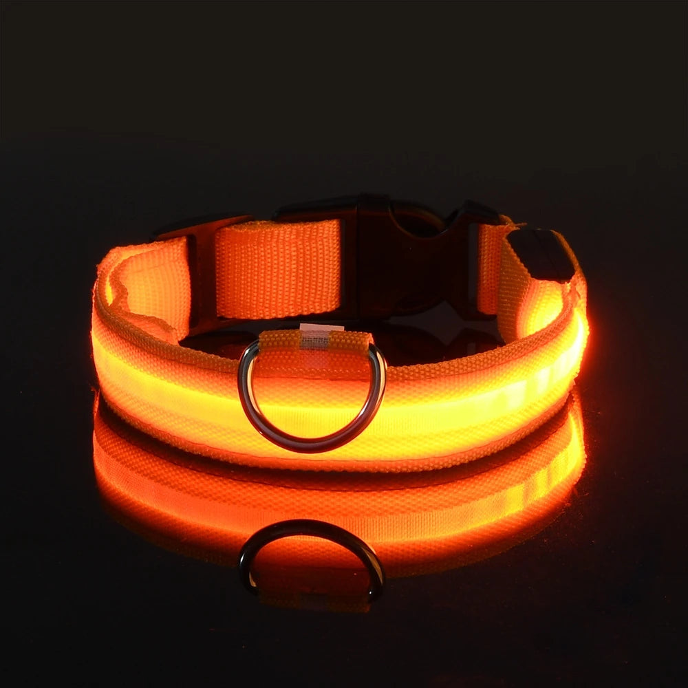 Nylon LED Dog Collar – Glow in the Dark Night Safety