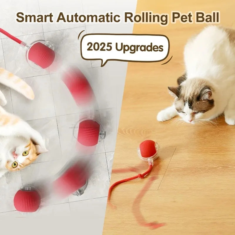 Interactive Cat Ball – Automatic Rolling Electric Toy for Kittens - iHeimly