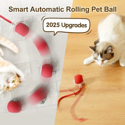 Interactive Cat Ball – Automatic Rolling Electric Toy for Kittens - iHeimly