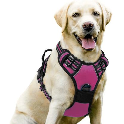 Dog Vest-Style Harness – Adjustable Polyester Harness for Medium & Large Dogs