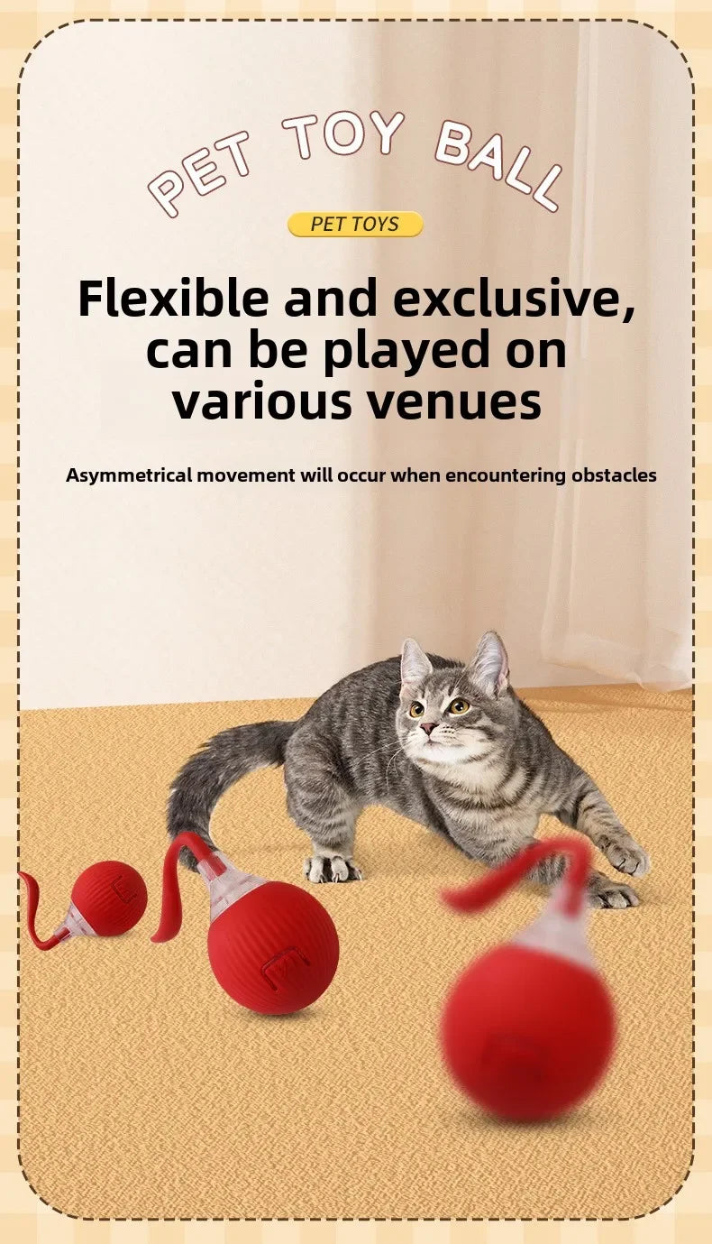 Interactive Cat Ball – Automatic Rolling Electric Toy for Kittens - iHeimly