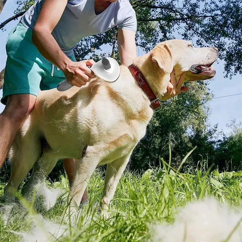 Self-Cleaning Pet Brush – Stainless Steel Grooming Tool for Dogs & Cats