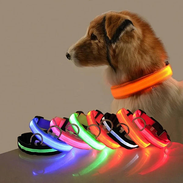 Nylon LED Dog Collar – Glow in the Dark Night Safety