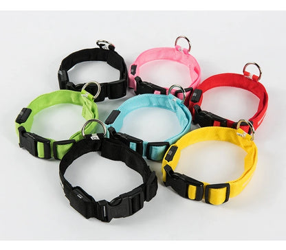 Nylon LED Dog Collar – Glow in the Dark Night Safety