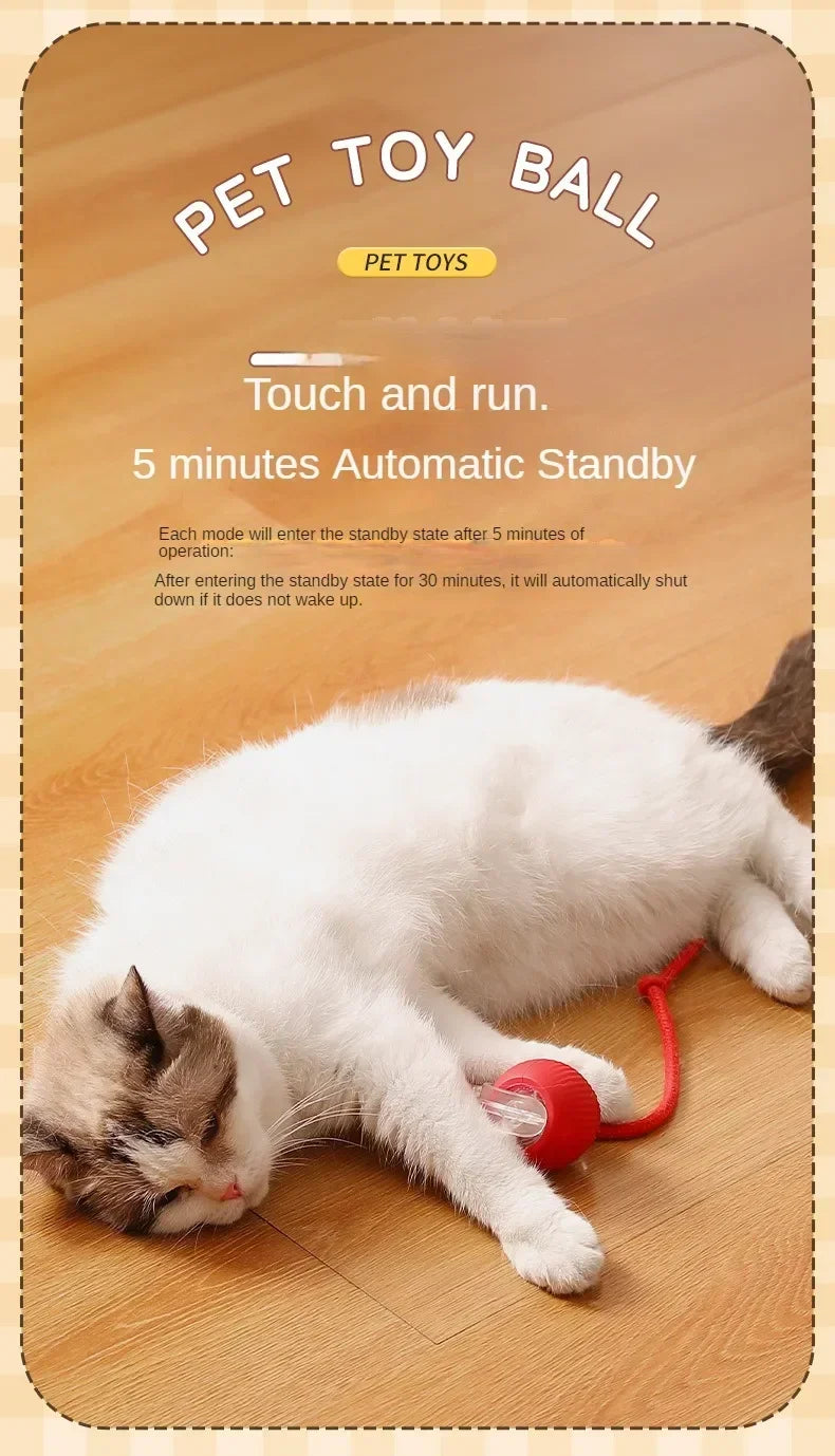 Interactive Cat Ball – Automatic Rolling Electric Toy for Kittens - iHeimly