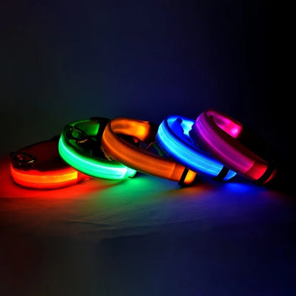 Nylon LED Dog Collar – Glow in the Dark Night Safety