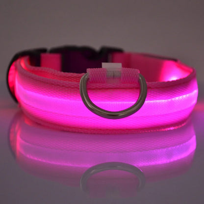 Nylon LED Dog Collar – Glow in the Dark Night Safety