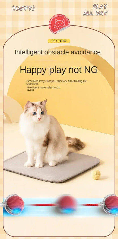 Interactive Cat Ball – Automatic Rolling Electric Toy for Kittens - iHeimly