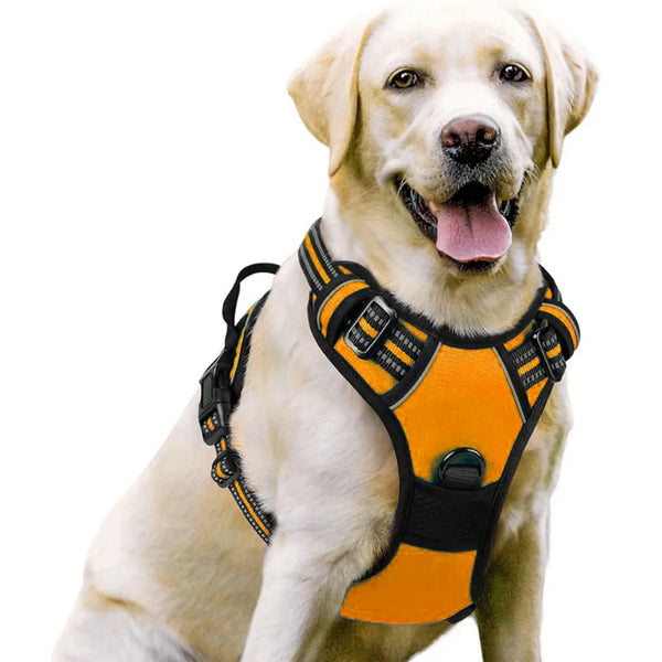 Dog Vest-Style Harness – Adjustable Polyester Harness for Medium & Large Dogs