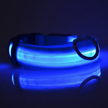 Nylon LED Dog Collar – Glow in the Dark Night Safety