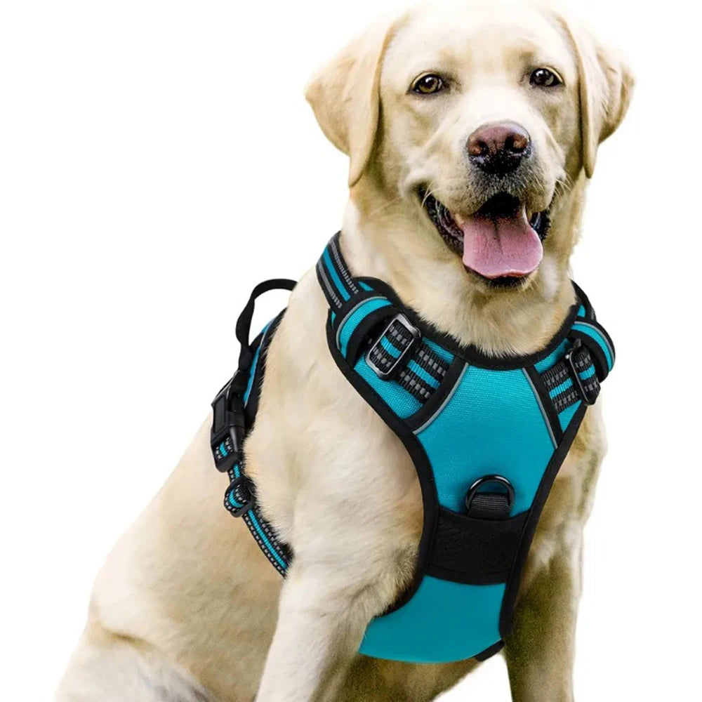 Dog Vest-Style Harness – Adjustable Polyester Harness for Medium & Large Dogs