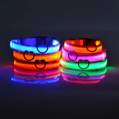 Nylon LED Dog Collar – Glow in the Dark Night Safety