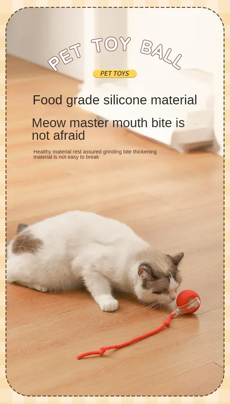 Interactive Cat Ball – Automatic Rolling Electric Toy for Kittens - iHeimly