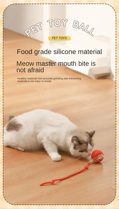 Interactive Cat Ball – Automatic Rolling Electric Toy for Kittens - iHeimly