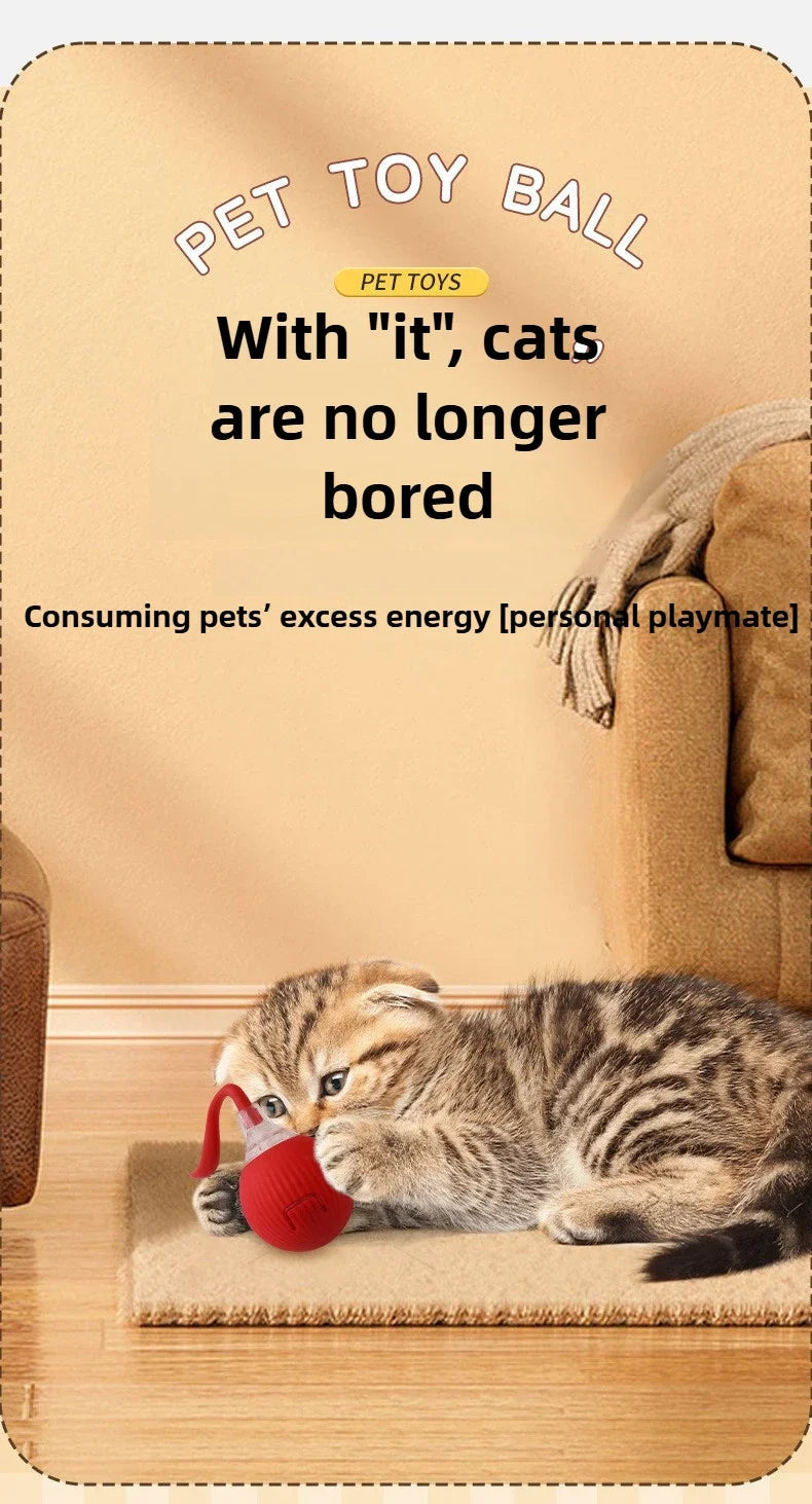 Interactive Cat Ball – Automatic Rolling Electric Toy for Kittens - iHeimly