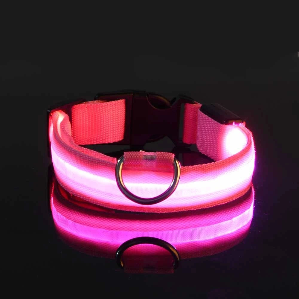 Nylon LED Dog Collar – Glow in the Dark Night Safety