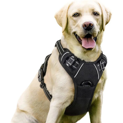 Dog Vest-Style Harness – Adjustable Polyester Harness for Medium & Large Dogs