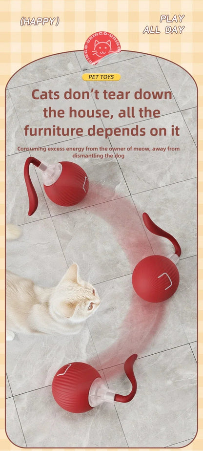 Interactive Cat Ball – Automatic Rolling Electric Toy for Kittens - iHeimly