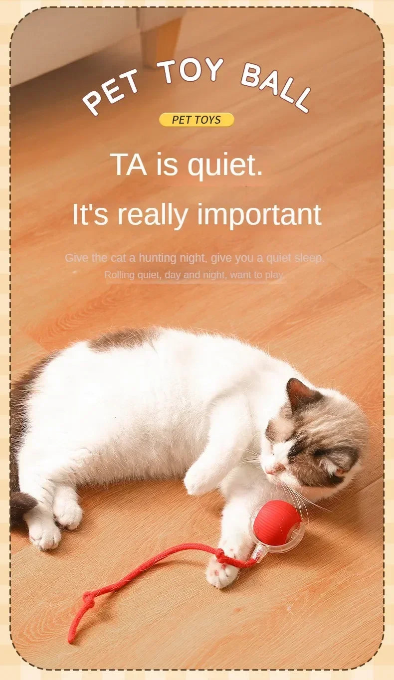Interactive Cat Ball – Automatic Rolling Electric Toy for Kittens - iHeimly