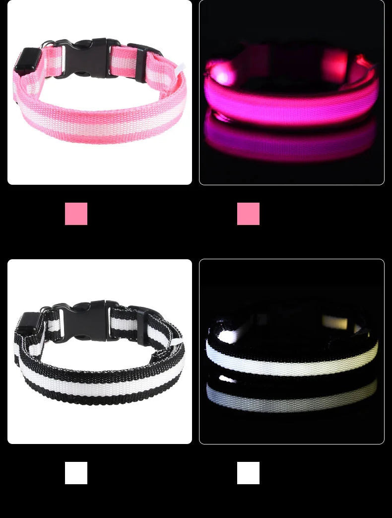 Nylon LED Dog Collar – Glow in the Dark Night Safety