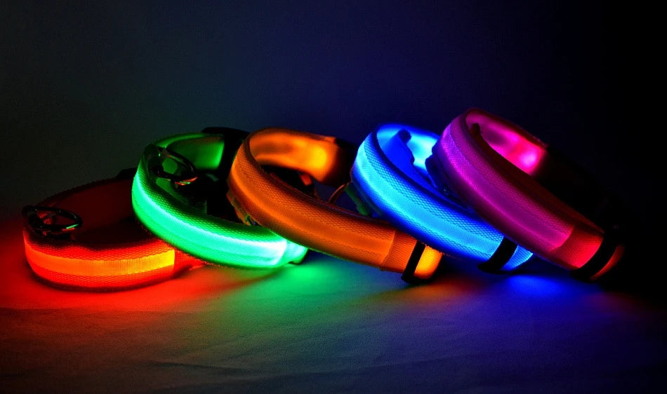 Nylon LED Dog Collar – Glow in the Dark Night Safety