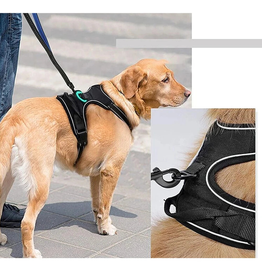 Dog Vest-Style Harness – Adjustable Polyester Harness for Medium & Large Dogs