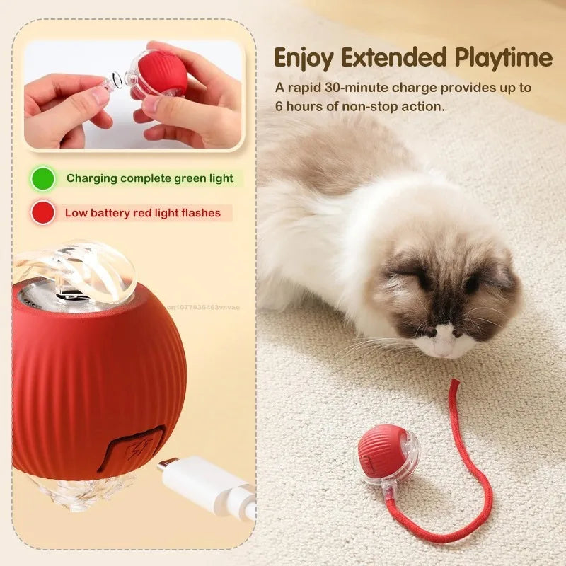 Interactive Cat Ball – Automatic Rolling Electric Toy for Kittens - iHeimly