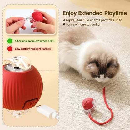 Interactive Cat Ball – Automatic Rolling Electric Toy for Kittens - iHeimly