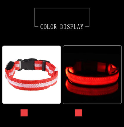 Nylon LED Dog Collar – Glow in the Dark Night Safety